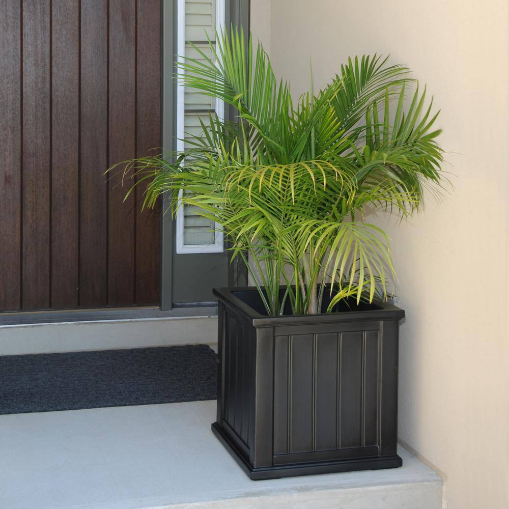 Cape Cod Black Polyethylene Self-Watering Outdoor Planter