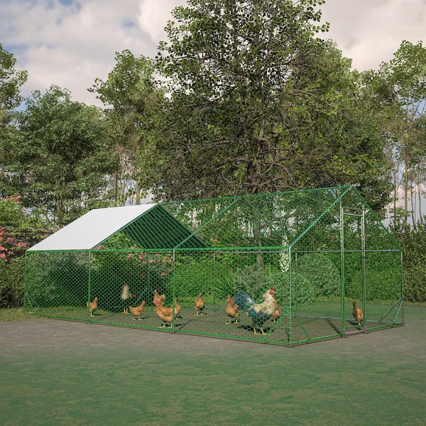 Thanaddo 10 ft. x 20 ft. Large Galvanized Chicken Coop Metal Walk in Cage Farm Poultry Run Hutch Hen House