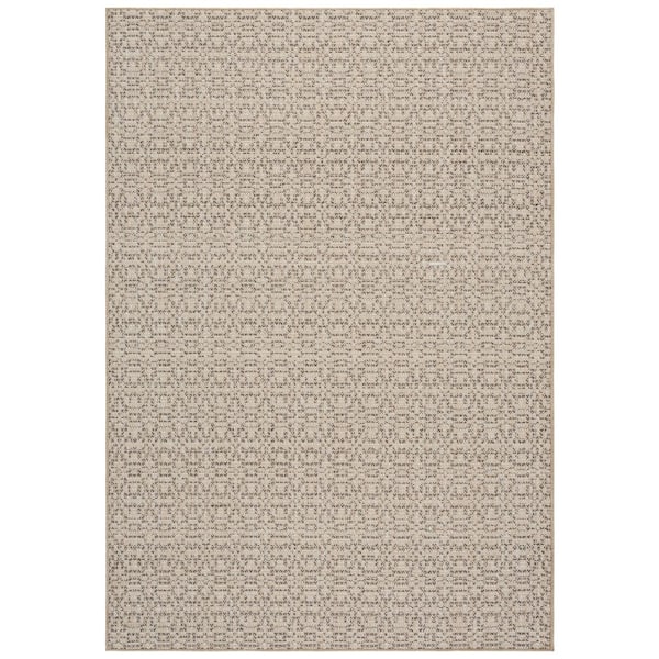 SAFAVIEH Sisal Performance 4 ft. x 6 ft. Beige/Natural Striped Abstract ...