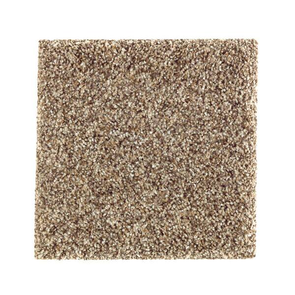 TrafficMaster Carpet Sample - Sachet I - Color Squirrel Nest Texture 8 in. x 8 in.