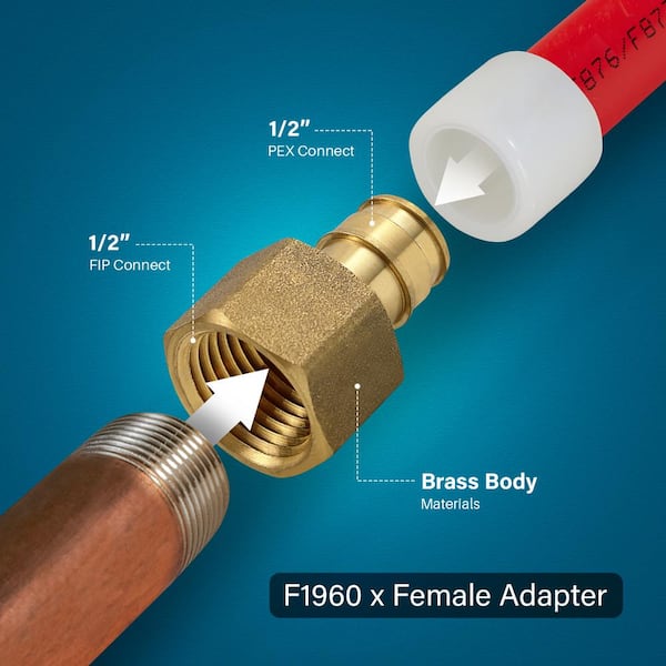 1/2 in. Tube OD x 1/2 in. FIP - Female Adapter - AB1953 Lead Free Brass  Compression Fitting