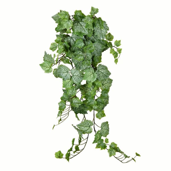 Vickerman 39 in. Green and White Artificial Grape Leaf Ivy Hanging Basket