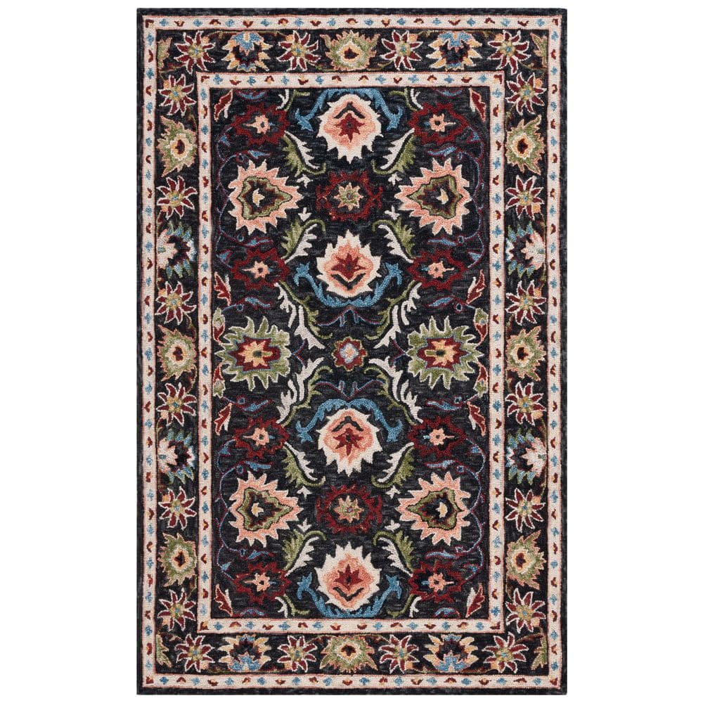 Blossom 6 ft. x 9 ft. Black/Ivory Border Ornate Area Rug price history on PriceWatchPro