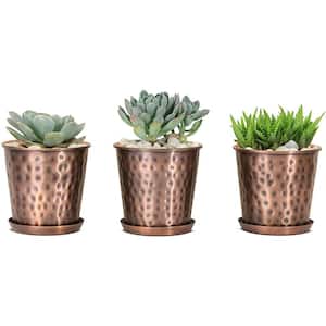Monarch Hand Hammered Copper Finish Indoor Flower Succulent Pots Planter with Drainage Hole (Set of 3)