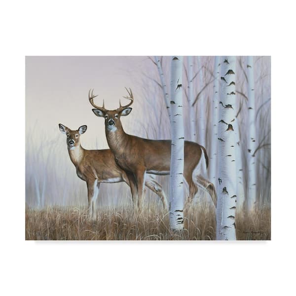 Trademark Fine Art Rusty Frentner Deer In Birch Woods Canvas Unframed Photography Wall Art 35 in. x 47 in