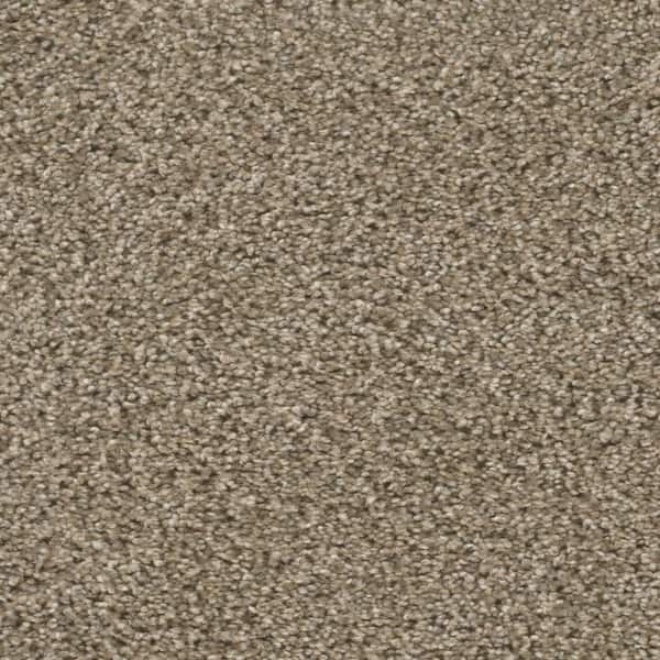 Delight II - Excitement - Beige 65 oz. SD Polyester Texture Carpet - Installation Required