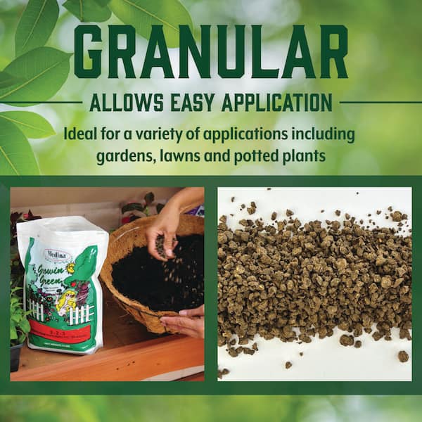 liquid fertilizer for tomato plants Tomato & Veg Fertilizer 2-4-2