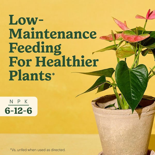 Have a question about Miracle-Gro Indoor Plant Food Spikes for All