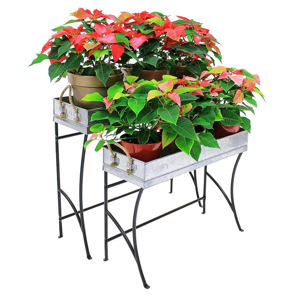 28" Black and Galvanized Steel Trestle Plant Stand