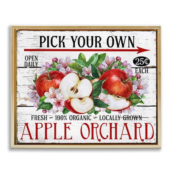Stupell Industries Pick Your Own Apples by Creatif Belle Gold Floater Frame Food Graphic Art Print 25 in. x 31 in.