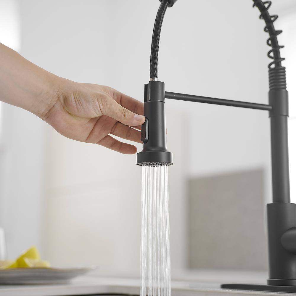 Matte Black Single-Handle Pull-Down Sprayer Kitchen Faucet