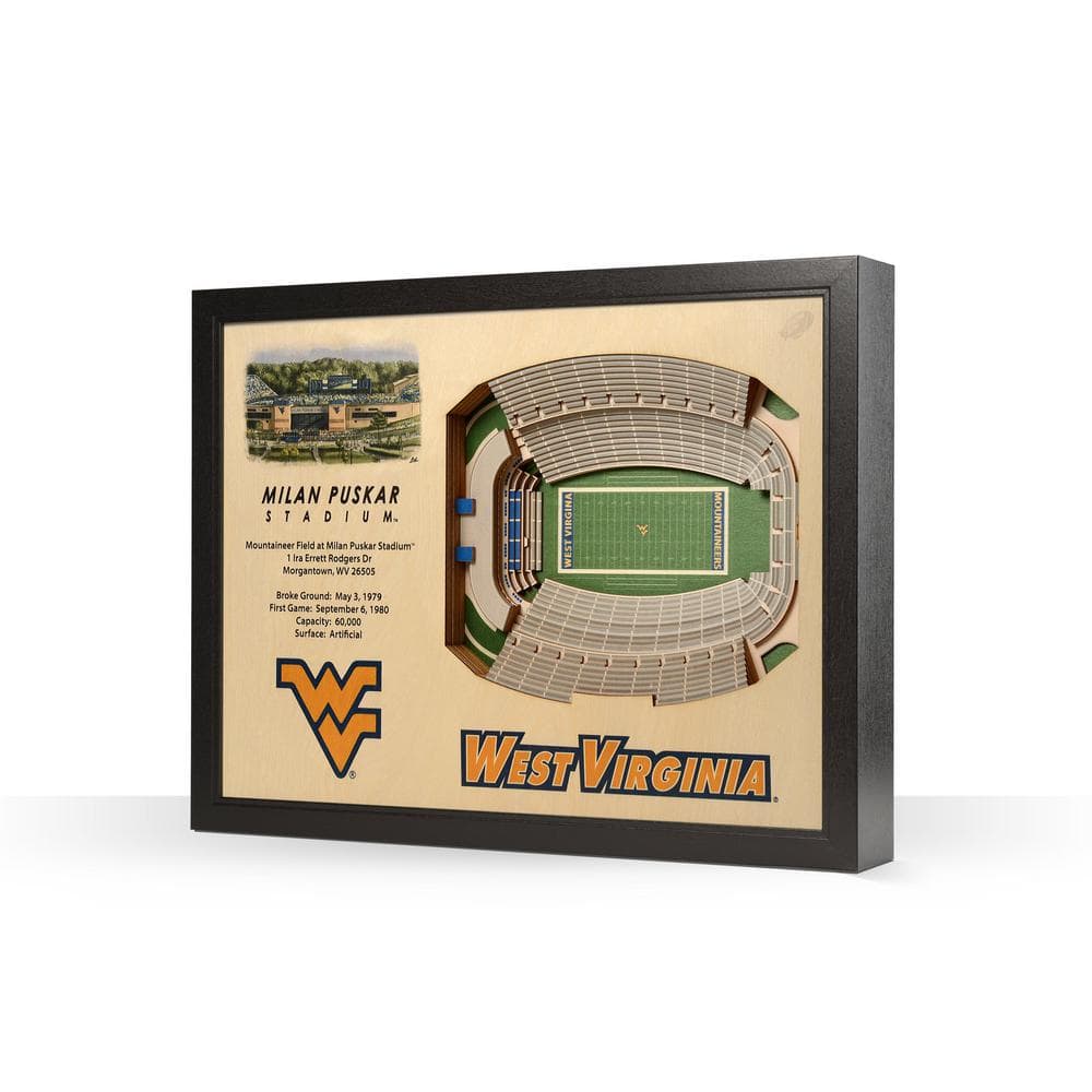 YouTheFan NCAA East Carolina Pirates 3D Logo Series Wall Art - 12x12  3700871 - The Home Depot