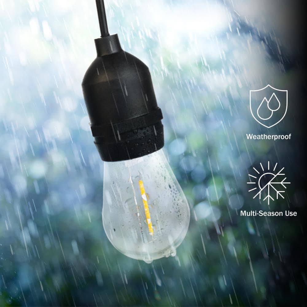 Warm White 40ft Outdoor LED Edison Bulb String Lights