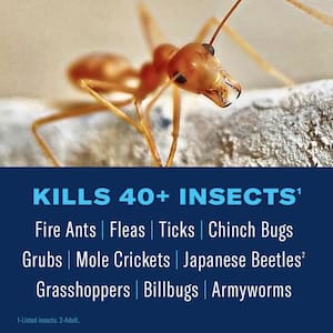 20 lbs. Granules 24-Hour Lawn Insect and Fire Ant Killer