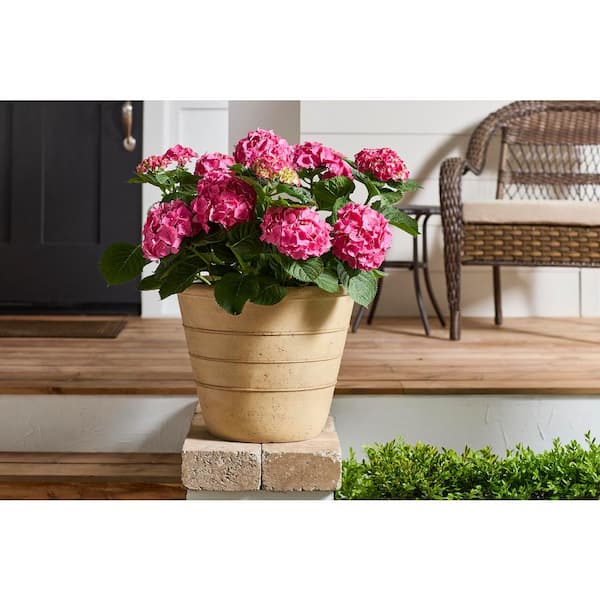 Vigoro 18 in. Sorrento Large Washed Sand Cast Stone Pot (18