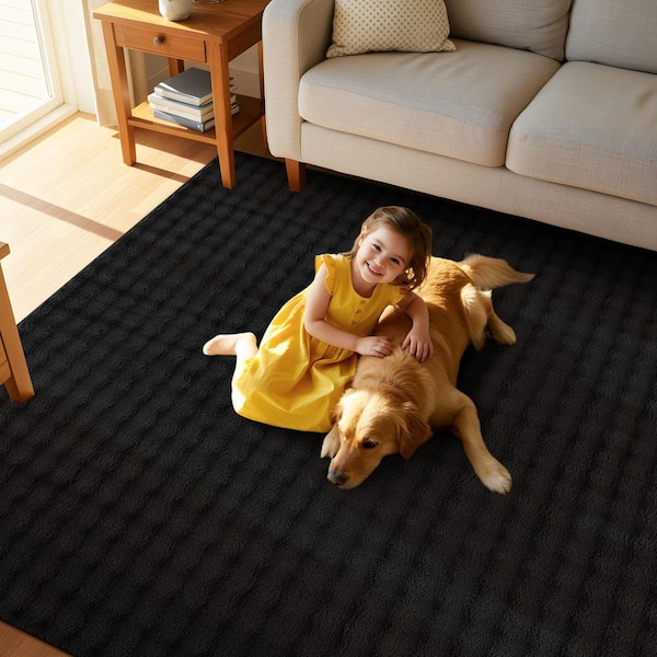 Aurora 5 ft. x 7 ft. Black Non-Slip Rubber Back Washable Polyester Checker Indoor Area Rug