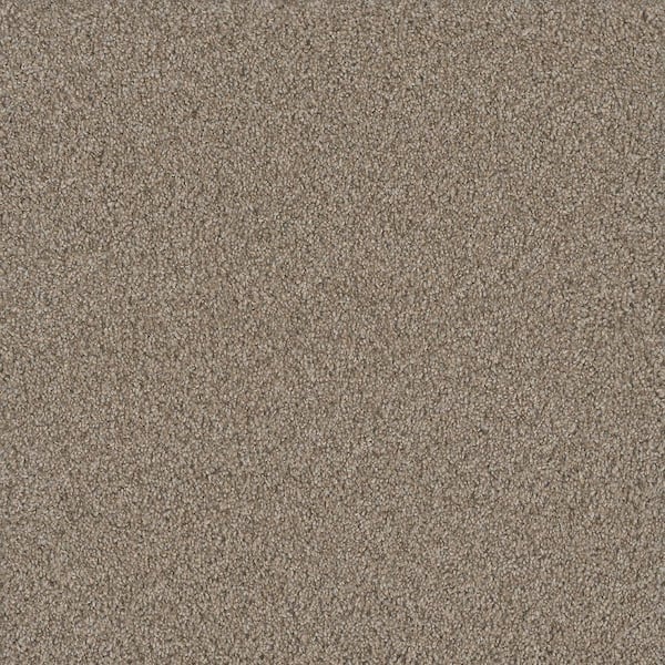 Meringue II-Bliss Beige-54 oz. SD Polyester Texture Installed Carpet