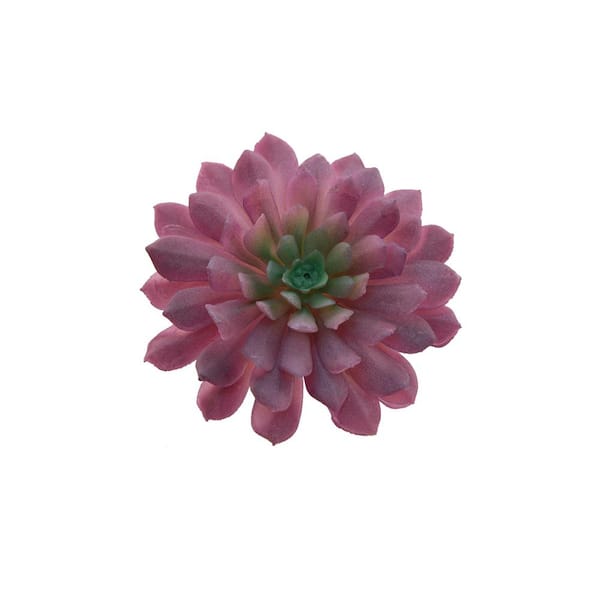 Flora Bunda Set of 6 Artificial Succulent Plant