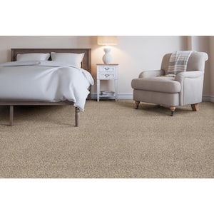 Soft Breath II  - Wembley - Gray 60 oz. SD Polyester Texture Installed Carpet