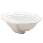 Devonshire 18-1/8 in. Vitreous China Undermount Bathroom Sink in White with Overflow Drain