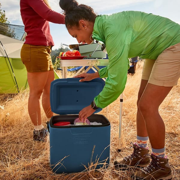 Coleman Chiller 30-qt. Portable Cooler 2231506 - The Home Depot