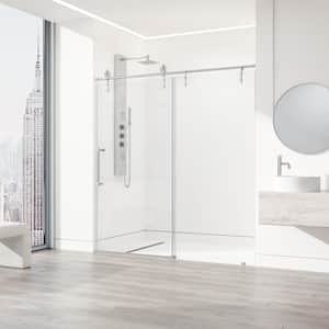 Hamilton 56 in. to 60 in. W x 78 in. H Aerodynamic Frameless Sliding Shower Door in Stainless Steel with Clear Glass