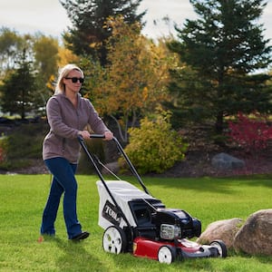 Recycler 21 in. Briggs and Stratton High-Wheel Gas Walk Behind Push Mower