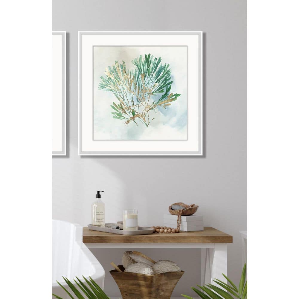 Green Coral III Framed Giclee Art Print 22 in. x 22 in. price history on PriceWatchPro