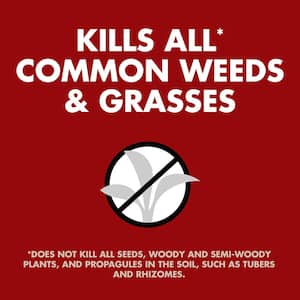 40 oz. Weed and Grass Extended Control Concentrate