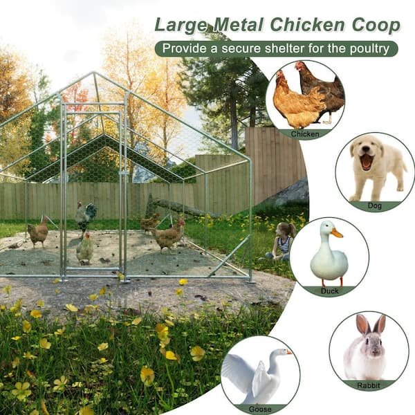 Amucolo 10 ft. x 20 ft. Metal Walk-In Chicken Run CX-CYW1