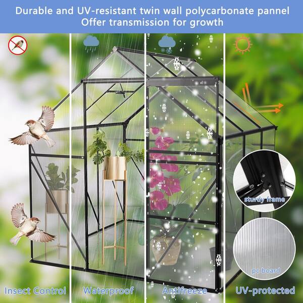Unbranded - 6 ft. x 6 ft. Outdoor Polycarbonate Heavy Duty Walk-In Greenhouse w/ Elevated Base and Anchored Aluminum for All Seasons