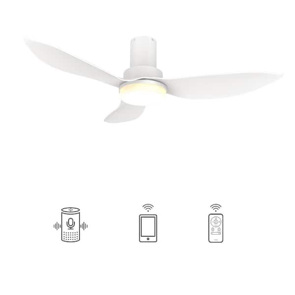 CARRO Daisy 36 in. Dimmable LED Indoor White Smart Ceiling Fan with Light and Remote, Works with Alexa and Google Home