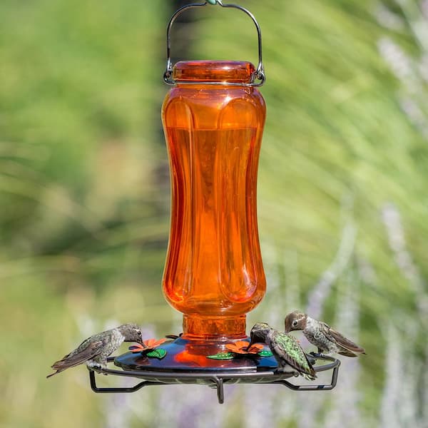 Yellow Hummingbird Feeder 14 - buy 16 oz.