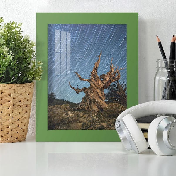 Modern 6 in. x 8 in. Green Picture Frame