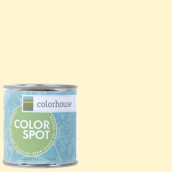 Colorhouse 8 oz. Air .04 Colorspot Eggshell Interior Paint Sample