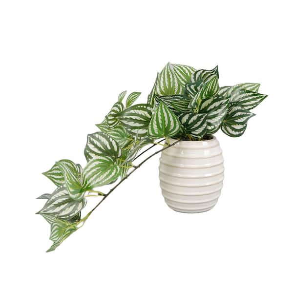 Flora Bunda 4.75" Ivory Artificial Trailing Ivy in Ceramic