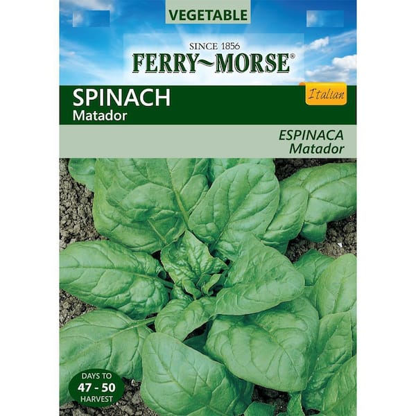 Ferry-Morse Spinach Matador Italian Seed