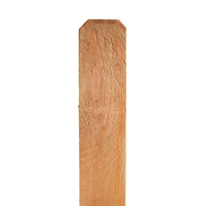 1x6x6 cedar fence boards home depot