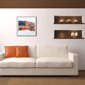 "Old Glory" Reverse Printed Art Glass and Anodized Aluminum Black Frame Wall Art