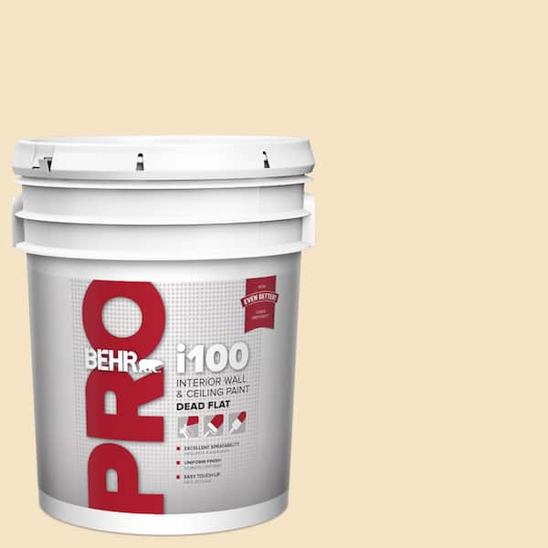 5 gal. #PPU6-10 Cream Puff Dead Flat Interior Paint