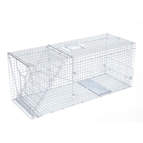 JT Eaton Answer Professional Live Trap for Coyotes, Foxes, Armadillos and Other Large Pests