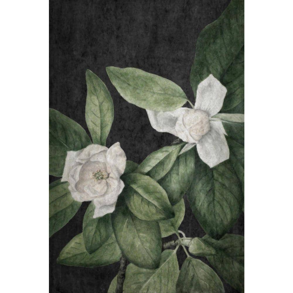 Botanical Dream 3 by Grotto Studios Unframed Graphic Print Poster Art Print 36 in. x 24 in. price history on PriceWatchPro