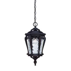 Acclaim 2216BK Laurens Collection 1-Light Outdoor Light Fixture Hanging Lantern Matte Black 