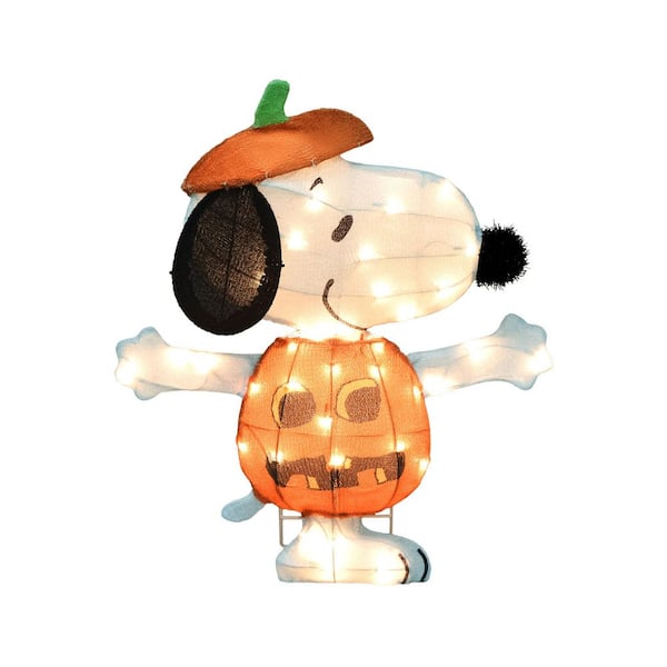 小物 NEIGHBORHOOD Peanuts&Co.15ssBOOZECHAMBER HSANHEPeanuts_SnoopySupermarke