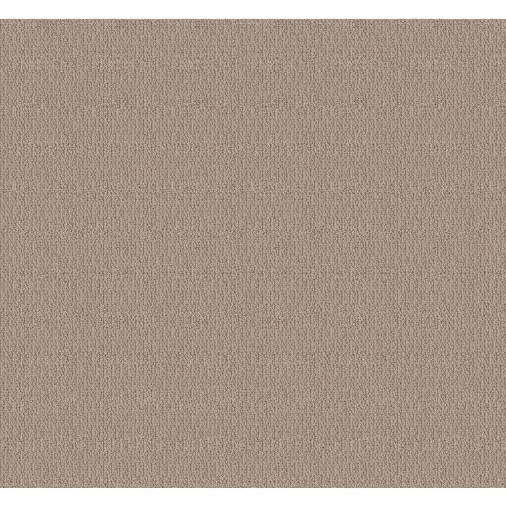 8 in. x 8 in. Loop Carpet Sample - Alluring Abodes - Color Soft Suede price history on PriceWatchPro