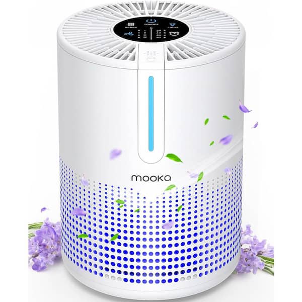 Unbranded 430 Sq. Ft. H13 HEPA Filter Portable Air Purifier with USB Cable and Fragrance Sponge in White
