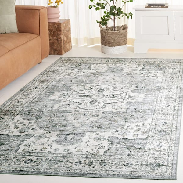 Arizona 2 ft. x 4 ft. Light Gray/Beige Machine Washable Distressed Border Ornate Area Rug