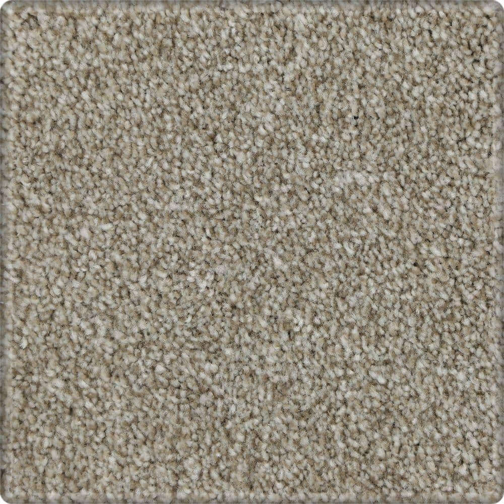 Lifeproof 8 in. x 8 in. Texture Carpet Sample - Batesfield - Color ...