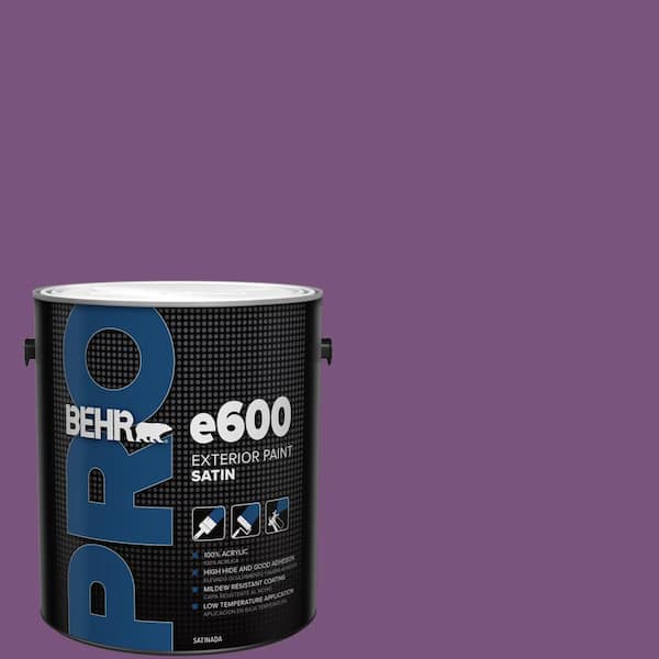 BEHR PRO 1 gal. #MQ4-62 Birthstone Satin Exterior Paint