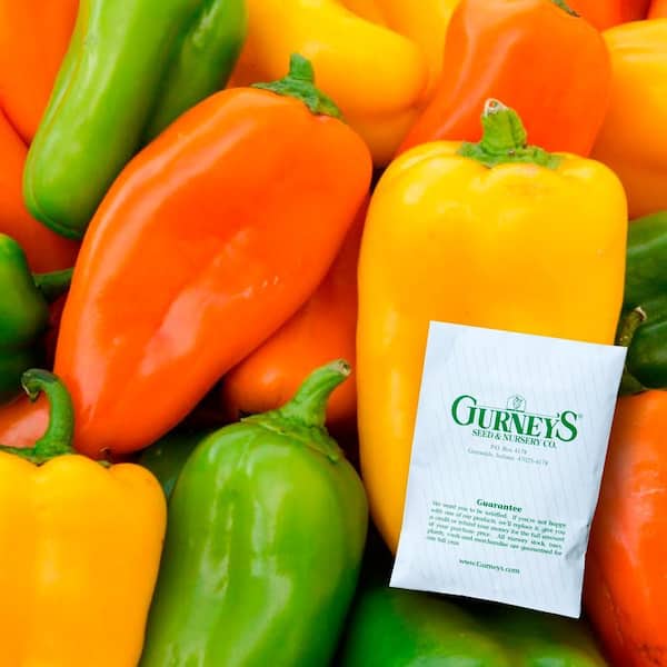 Sweet Pepper Yum Yums Hybrid Mixed Mini Bells Seed (15-Pack)